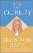 The Journey by Brandon Bays